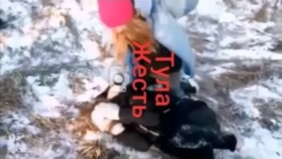 В Тульской области подростки избили свою однокласнницу ФОТО: "Тула Жесть"