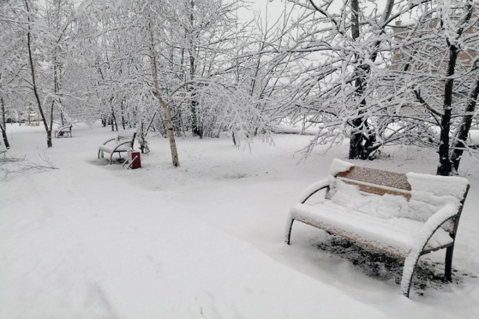 Погода в январе 2021 в Хабаровске - ждать ли снега?