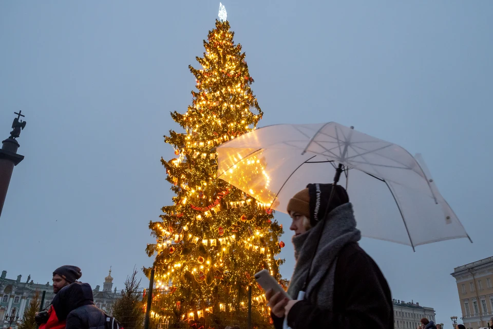 31 декабря спб. Елка на Дворцовой площади. Санкт-Петербург 31 декабря. Елка на Дворцовой 2020. Ель на Дворцовой площади 2020.