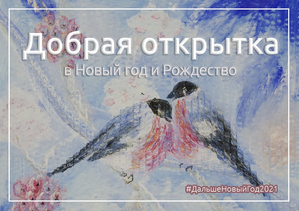 Серию открыток украсили рисунки Елены Слободской Фото: БФ «ДАЛЬШЕ»