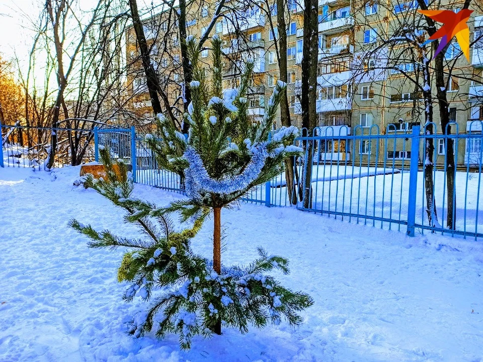 В первый день нового года будет слабый мороз