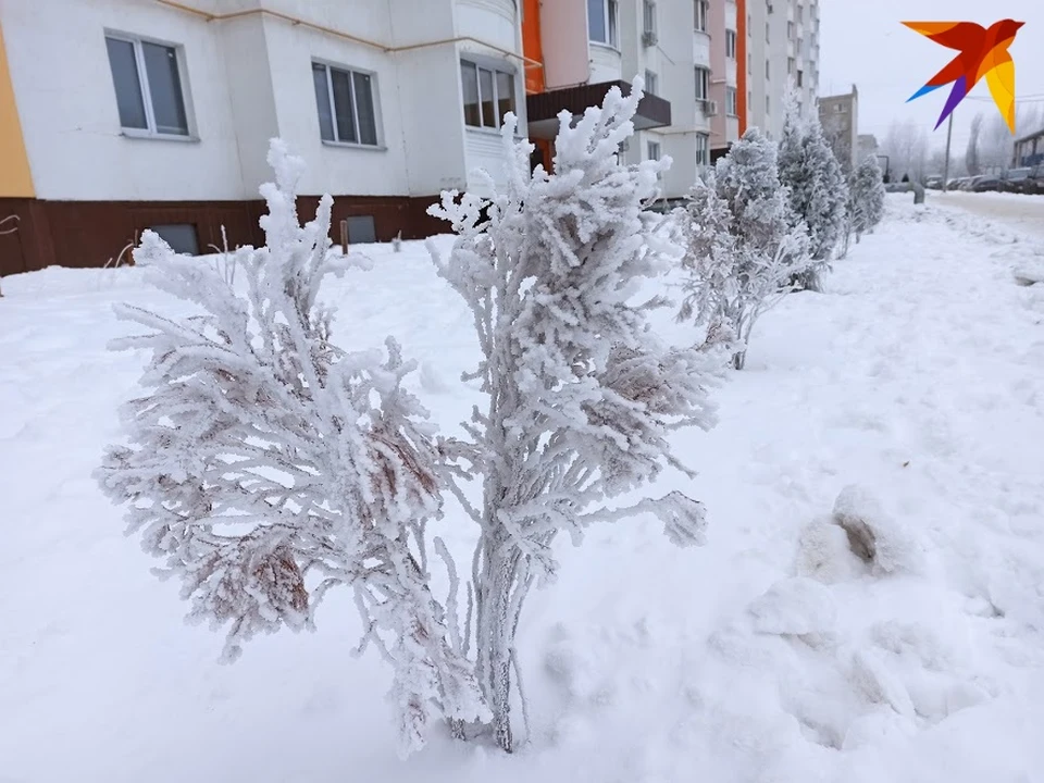 В Саратове может выпасть снег
