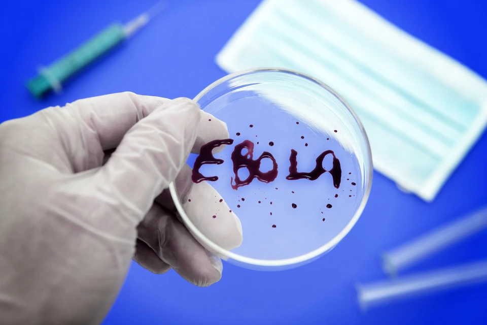 По симптомам новая болезнь похожа на Эболу.
