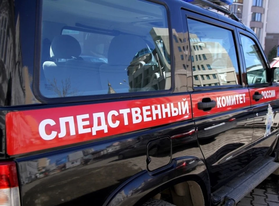 Староосколец отомстил за кота, ударив собутыльника ножом в сердце.