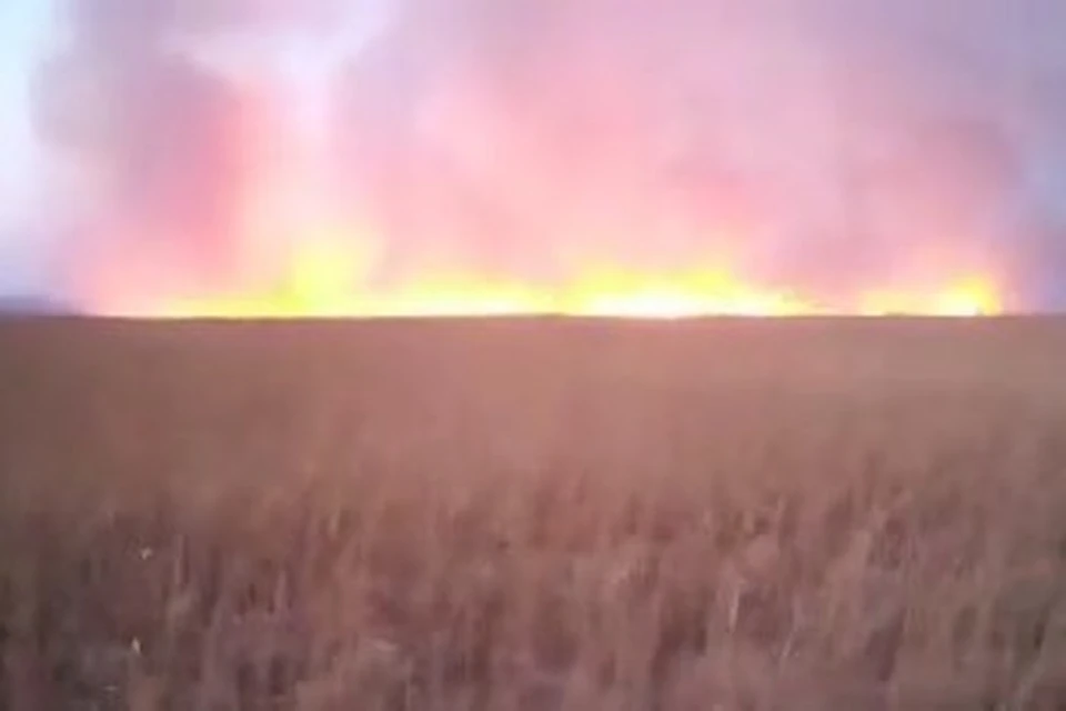 Пожар в природном парке "Хасанский" в Приморье. Скриншот видео: facebook.com/olga.dymnicova