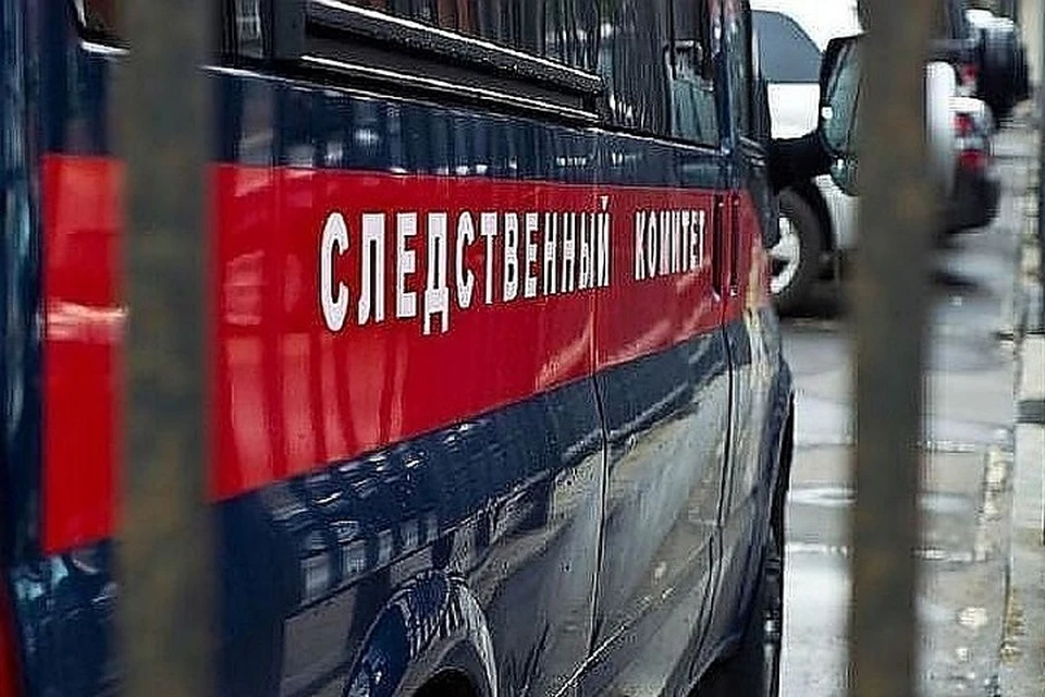 В обстоятельствах гибели ребенка разбираются следователи.