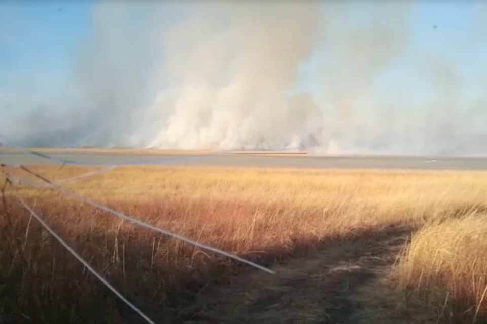 Огромный пожар едва полностью не уничтожил природный парк.