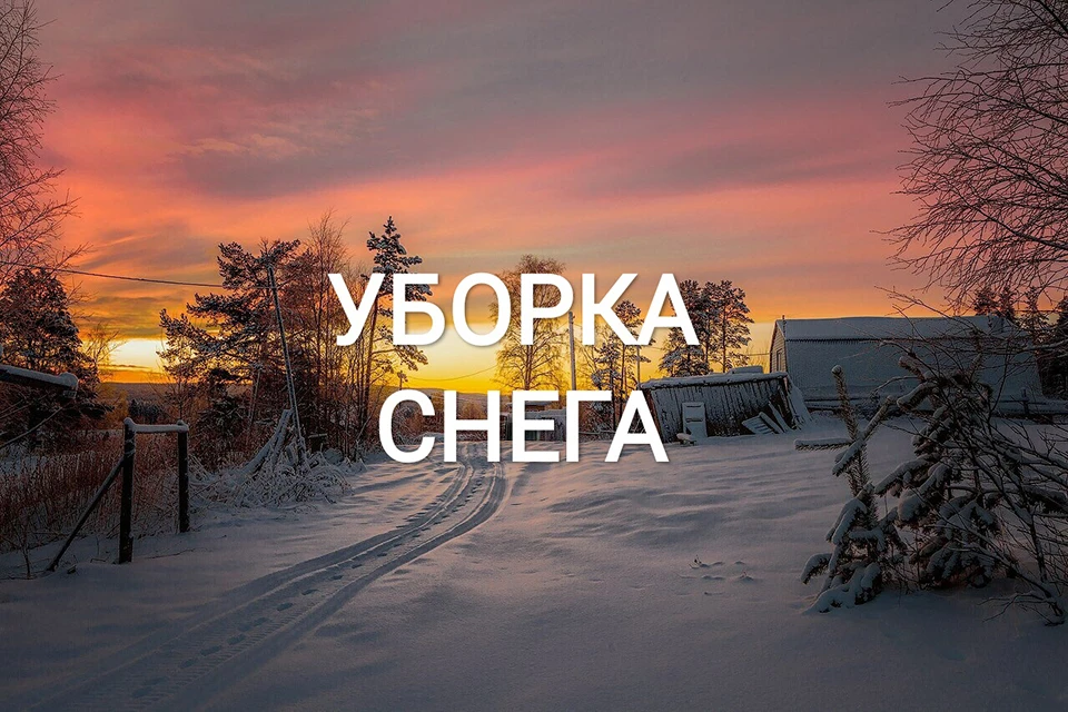 В ноябре этого года он вернется из армии, и, кто знает, может, не забросит свой бизнес. Фото: vk.com/apatit2020