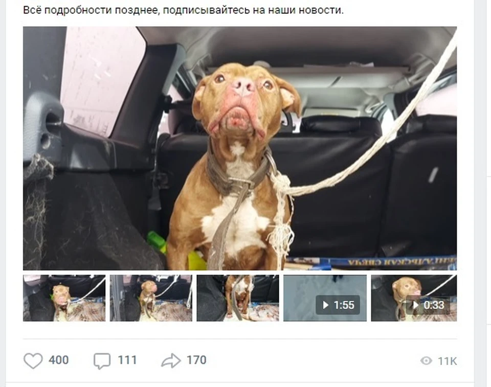 скриншот публикации.