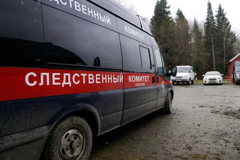 На двоих подростков, отобравших у школьника телефон в метро, завели уголовное дело.