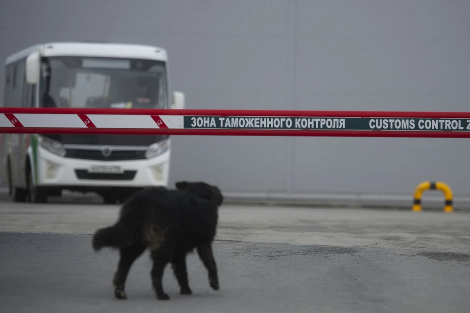 Из Узбекистана в Кемерово пытались провезти почти 14 килограммов насвая