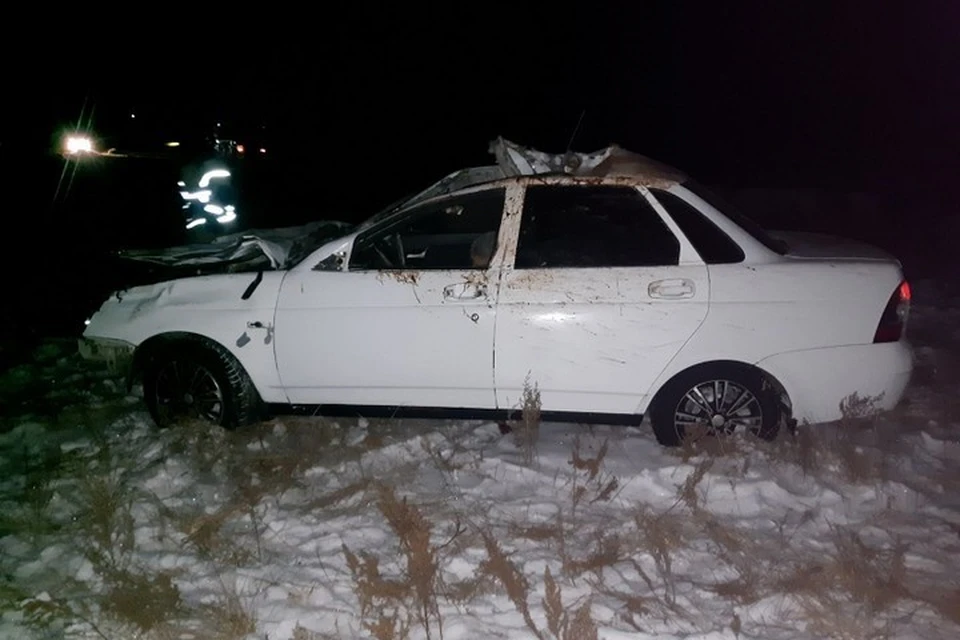 В Туве из-за табуна лошадей погиб водитель «Лады». Фото: ГИБДД Тувы