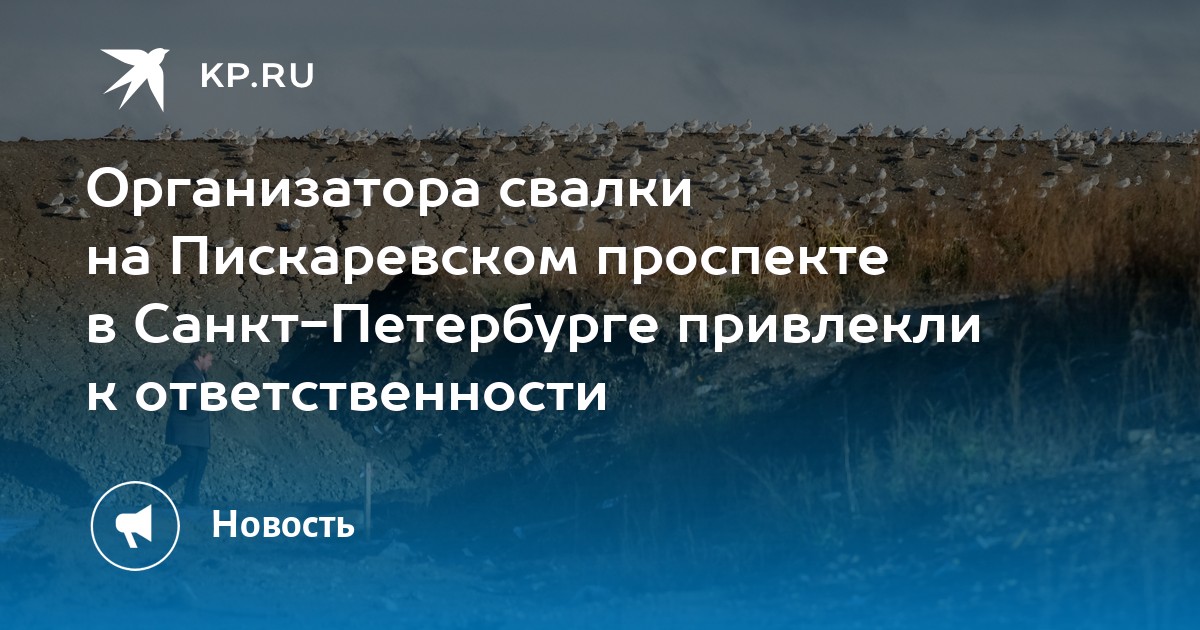 Тойота на пискаревском проспекте