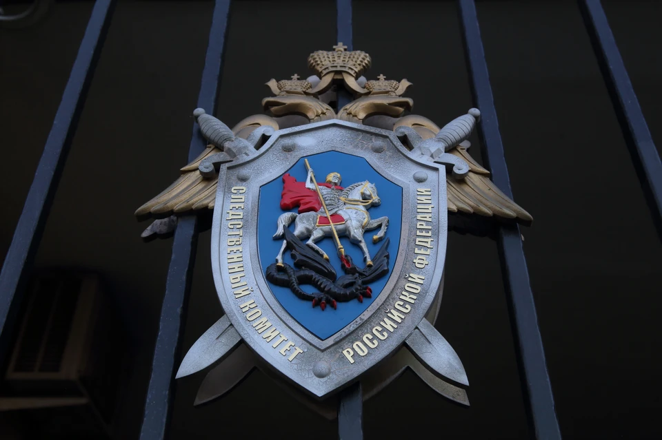 СК возбудил четыре дела о насилии над правоохранителями на протестах в Москве.