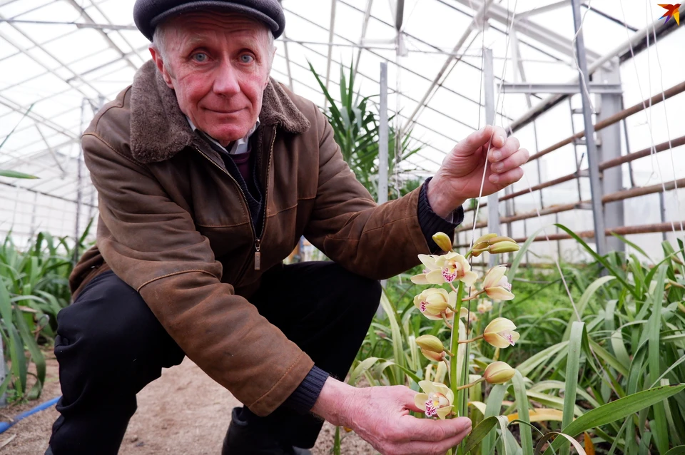 Тепличный комплекс по выращиванию орхидей в Кабанском районе будет расширен