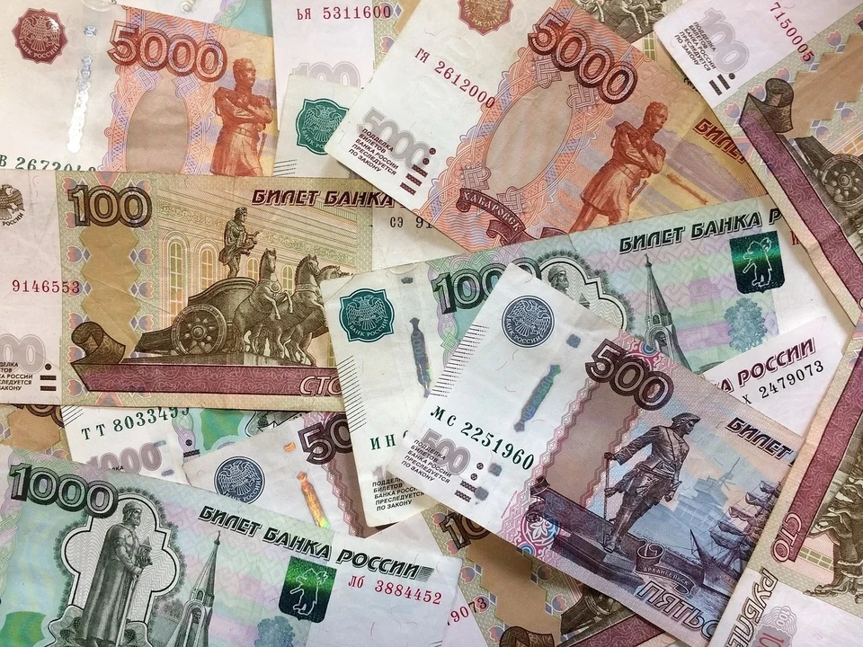 В Астрахани директор фирмы пол года не платил своему сотруднику зарплату