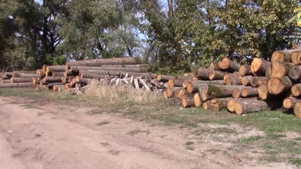 Фото ГУ МВД по краю