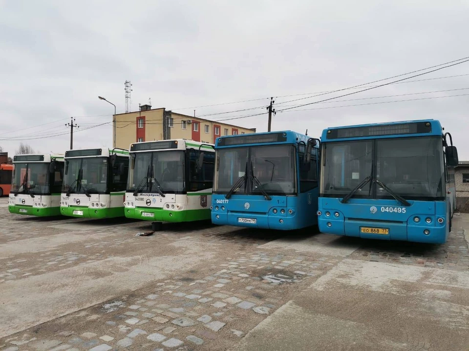 Автобусы, подаренные Калининграду столичными чиновниками, вот-вот начнут обслуживать пассажиров.