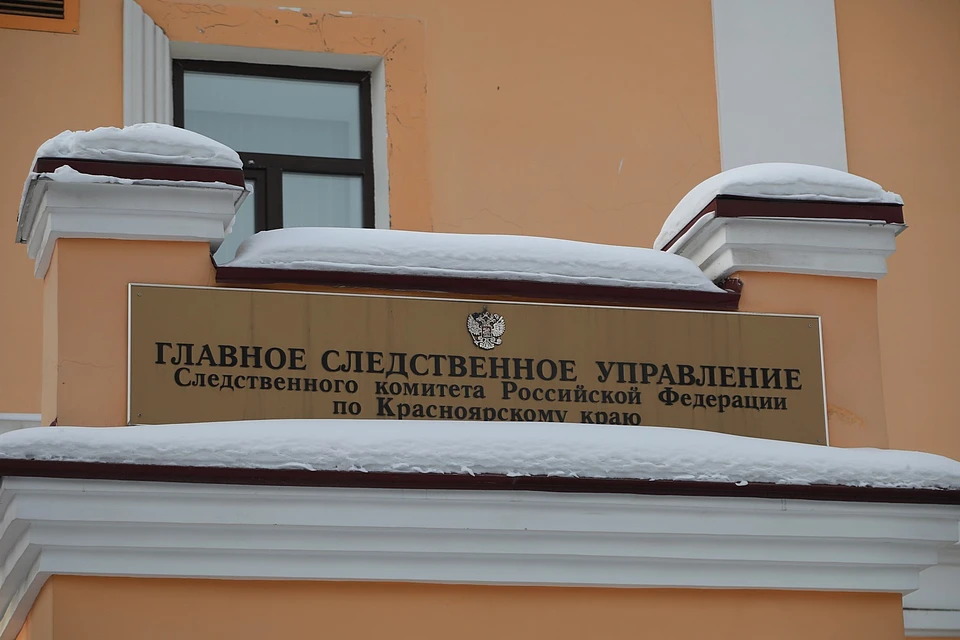 Красноярского чиновника осудят после нападения бездомных собак на людей