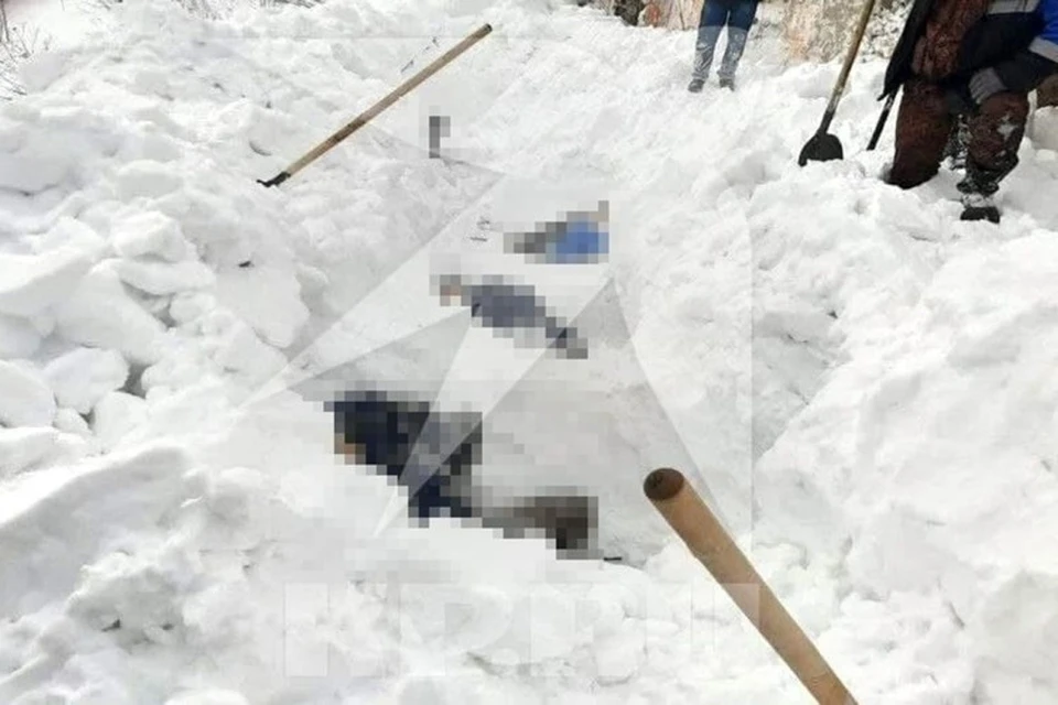 Сход снега произошел с крыши зернохранилища (фото: очевидец)