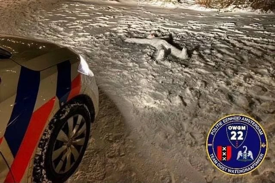 В Нидерландах полиция прибыла на места убийства, но вместо трупа обнаружила снеговика