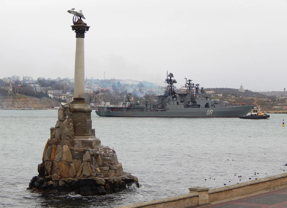 На побережье Черного моря нет трупов пернатых.