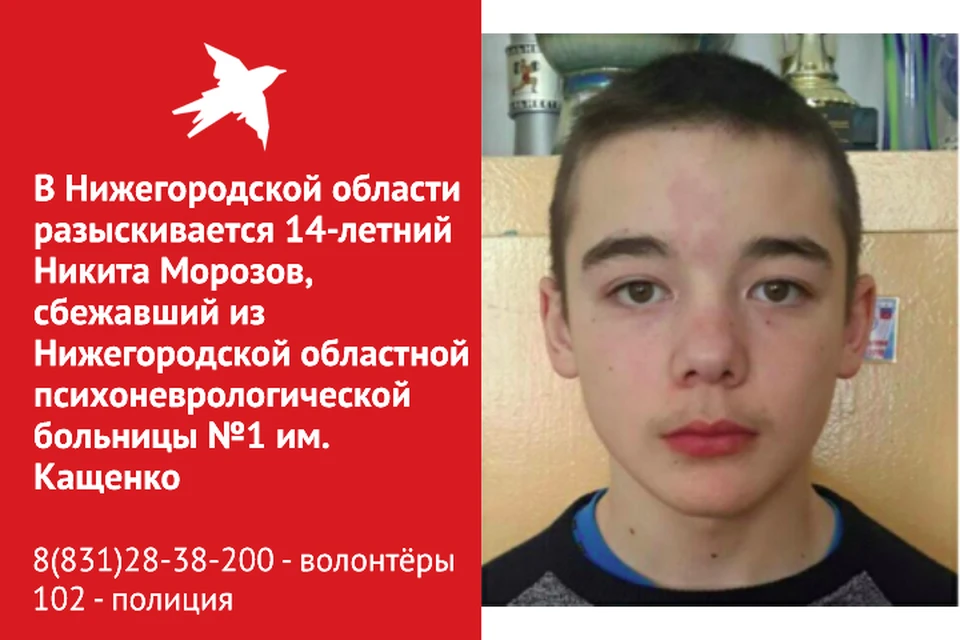 14-летний подросток сбежал из психбольницы в Нижнем Новгороде 16 февраля. ФОТО: ПСГ "Рысь"