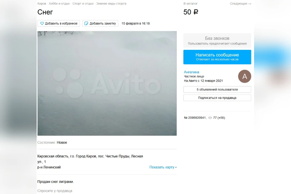 Женщина продает снег литрами за 50 рублей. Фото: avito.ru