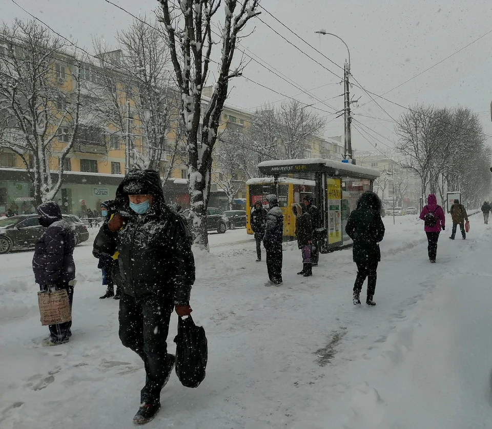Зима прижилась в Симферополе.