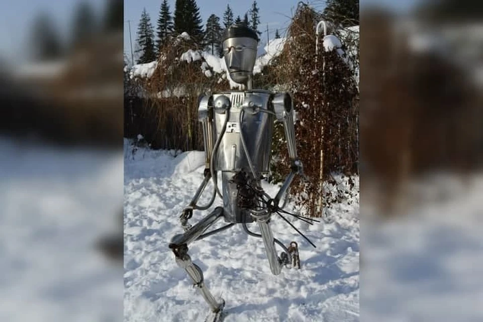 Федором железного человека назвал сын Сергея. Фото: Сергей Корюкин