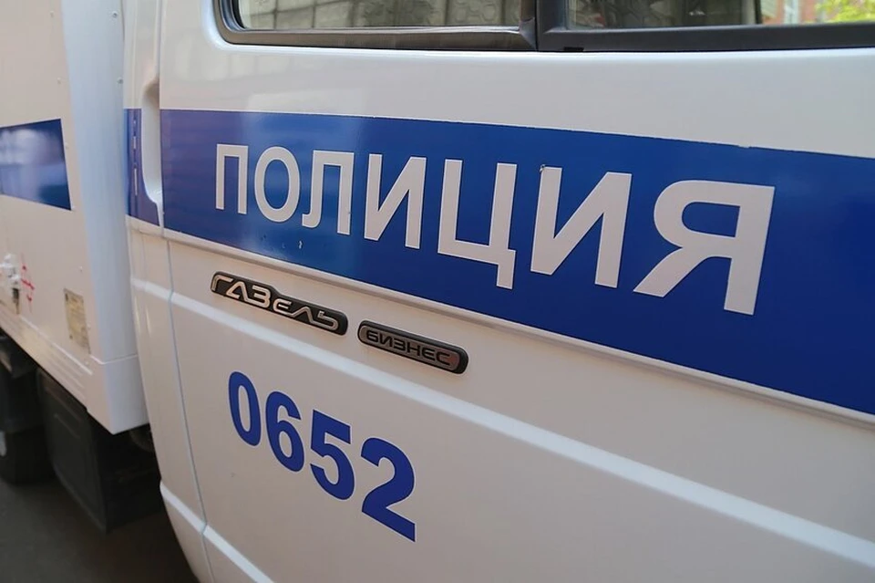 В Красноярске приставы остановили на входе в суд женщину с турецкими клинками