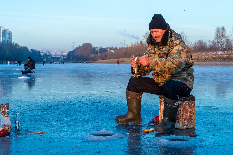 Больше всего рыбы, как обычно, в Москве-реке. Самые многочисленные виды - плотва, лещ, окунь, уклея, окунь, судак