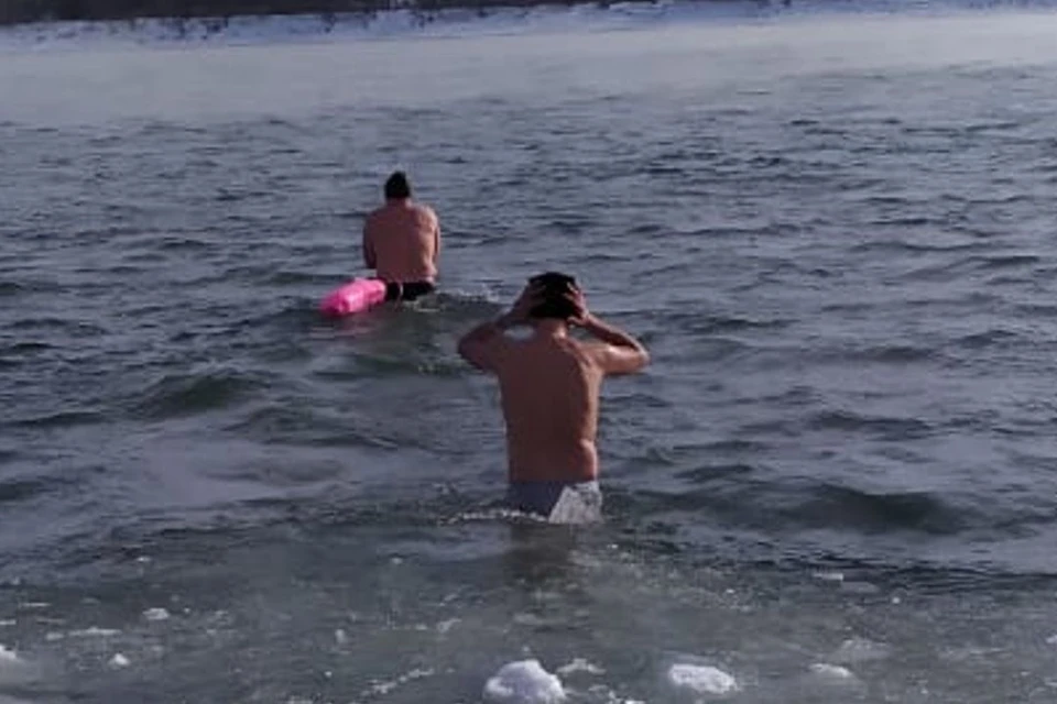 В Новосибирске моржи переплыли Обь.