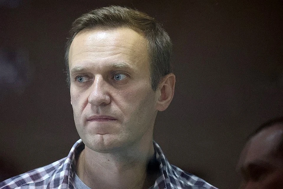 Алексей Навальный во время суда 20 февраля. Фото: Владимир ГЕРДО/ТАСС