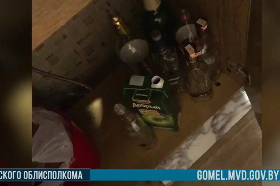 Трое пьяных парней совратили школьницу. Фото: скриншот видео МВД