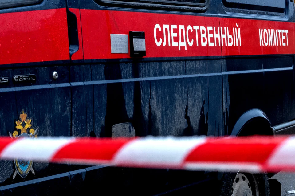 Сельские разборки пожилых женщин в Томской области чуть не привели к смерти старушки