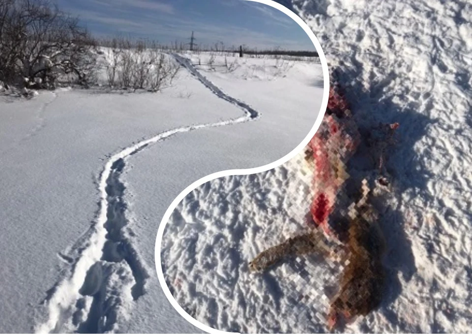 Фото: БНК