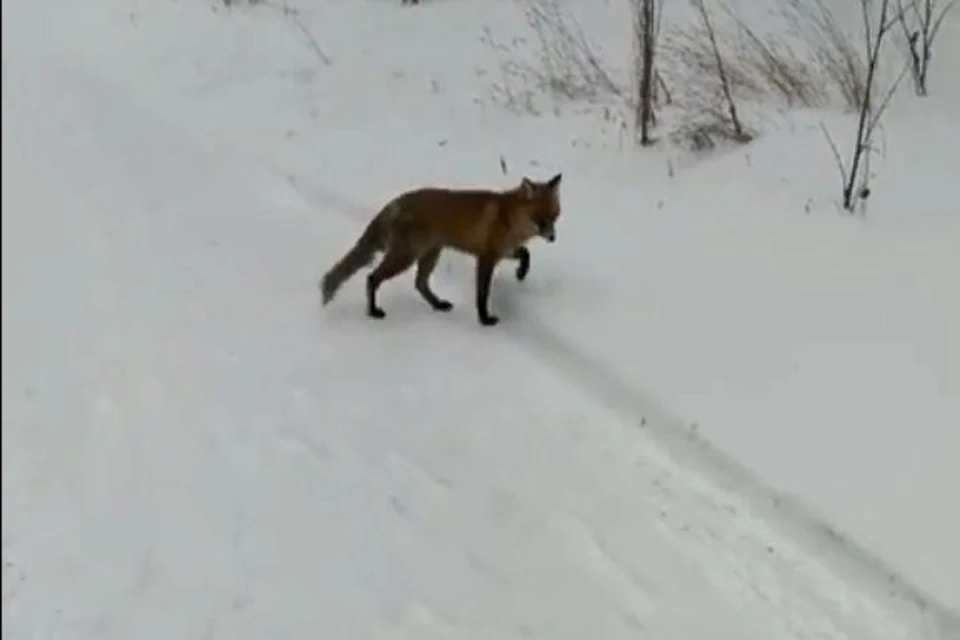 Маленький ребенок позирует на камеру Ржака улыбака =))))