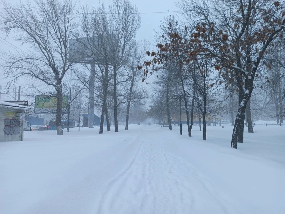 Мороз уроки. Саратов зима. Саратов зима фото. Пейзаж Белгородской области зима. Зима в Саратовской области пейзажи.