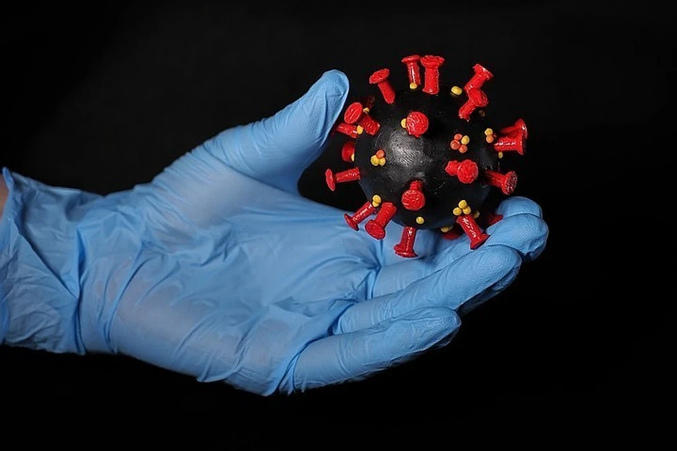 Иммунолог объяснил, почему антитела могут тормозить борьбу с коронавирусом
