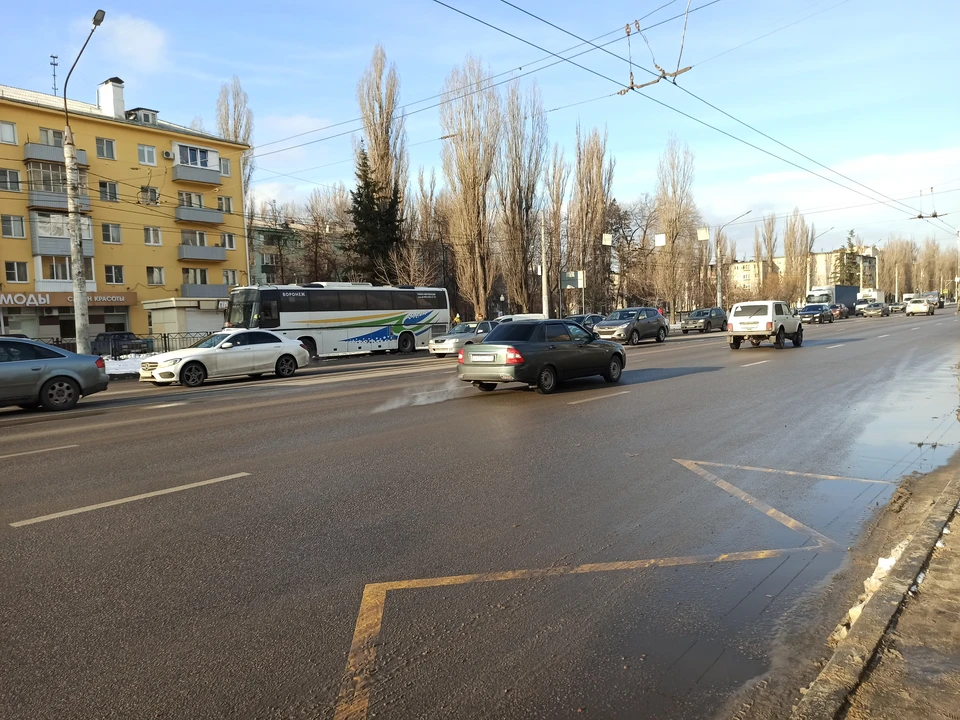 фото: Анна Гребенкина.