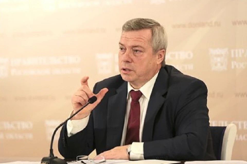 Василий Голубев отреагировал на флешмоб. Фото: правительство Ростовской области donland.ru
