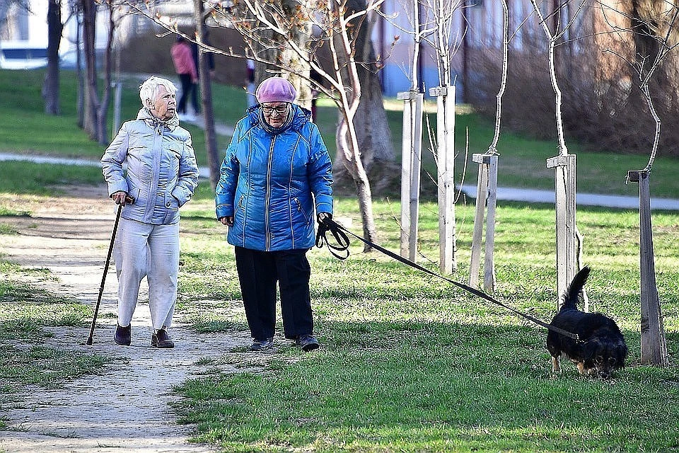 В Союзе пенсионеров назвали категории граждан, которые имеют право на повышенную пенсию