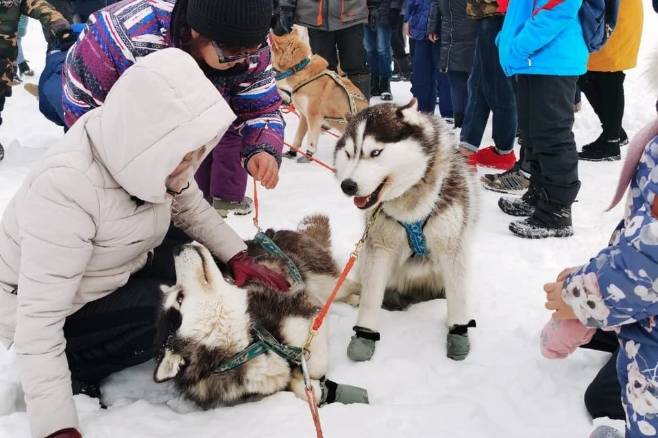 Шест в руках каюра