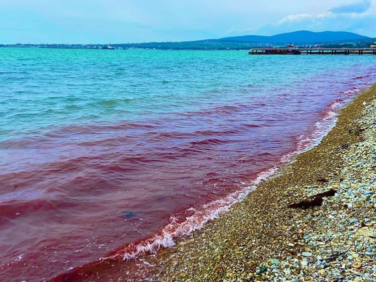 Анапа морская вода