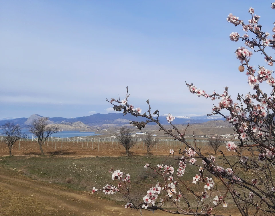 В Крыму весной очень красиво. фото: Богдан Погадаев
