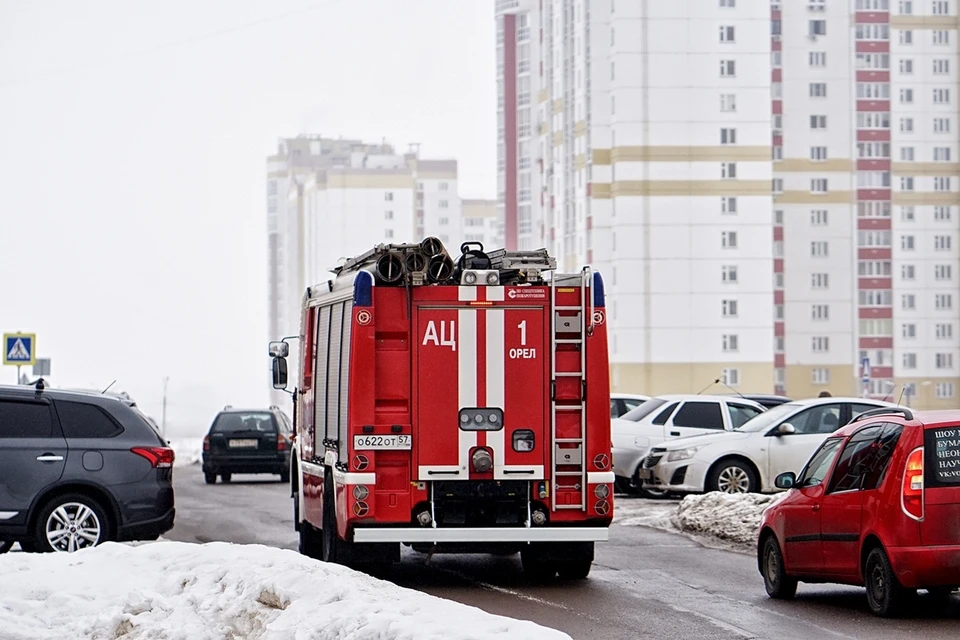 Фото: Вячеслав КОВАЛЕНКО