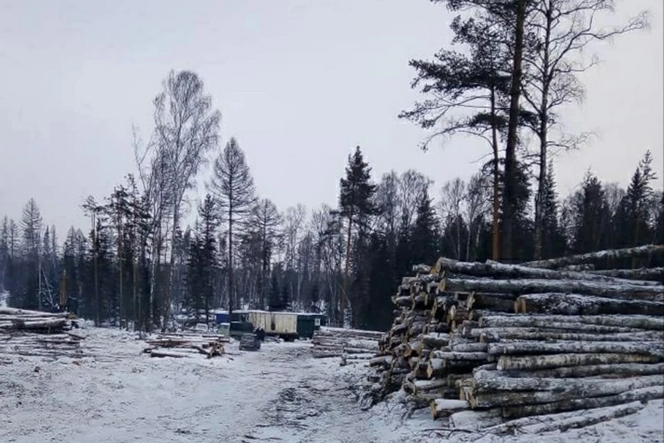 Зимой вблизи Инзерских зубчаток вырубался лес