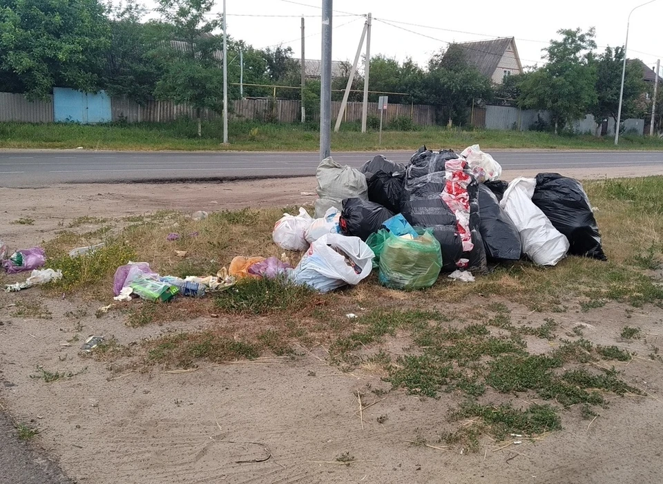 Волонтеры примут чистое, просушенное и рассортированное вторсырье