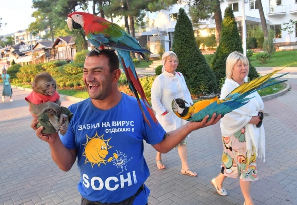 Сочи получил "бронзу"